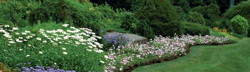 Spring Landscape Projects…
