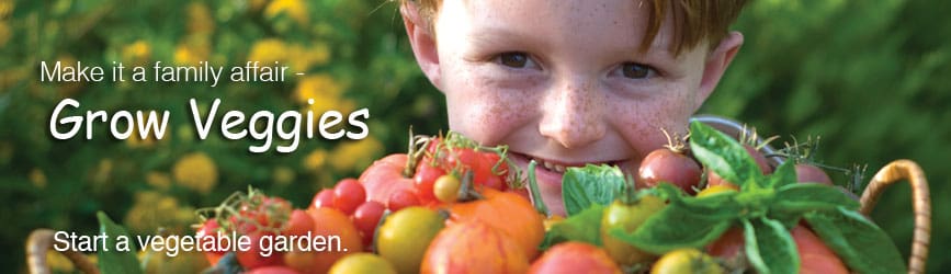 Grow a Vegetable Garden