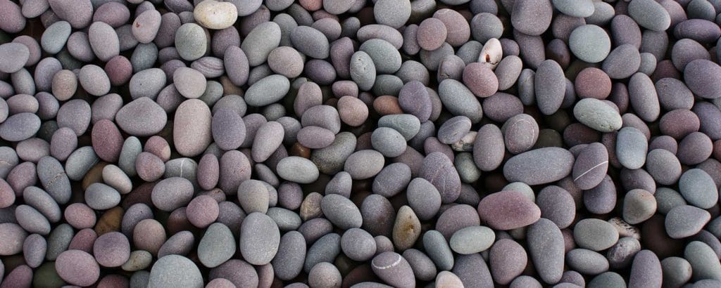 Bayview Garden Nurseries, LLC