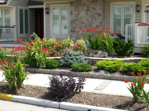 Beach Front Landscaping