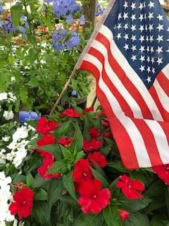 Bayview Garden Nurseries, LLC