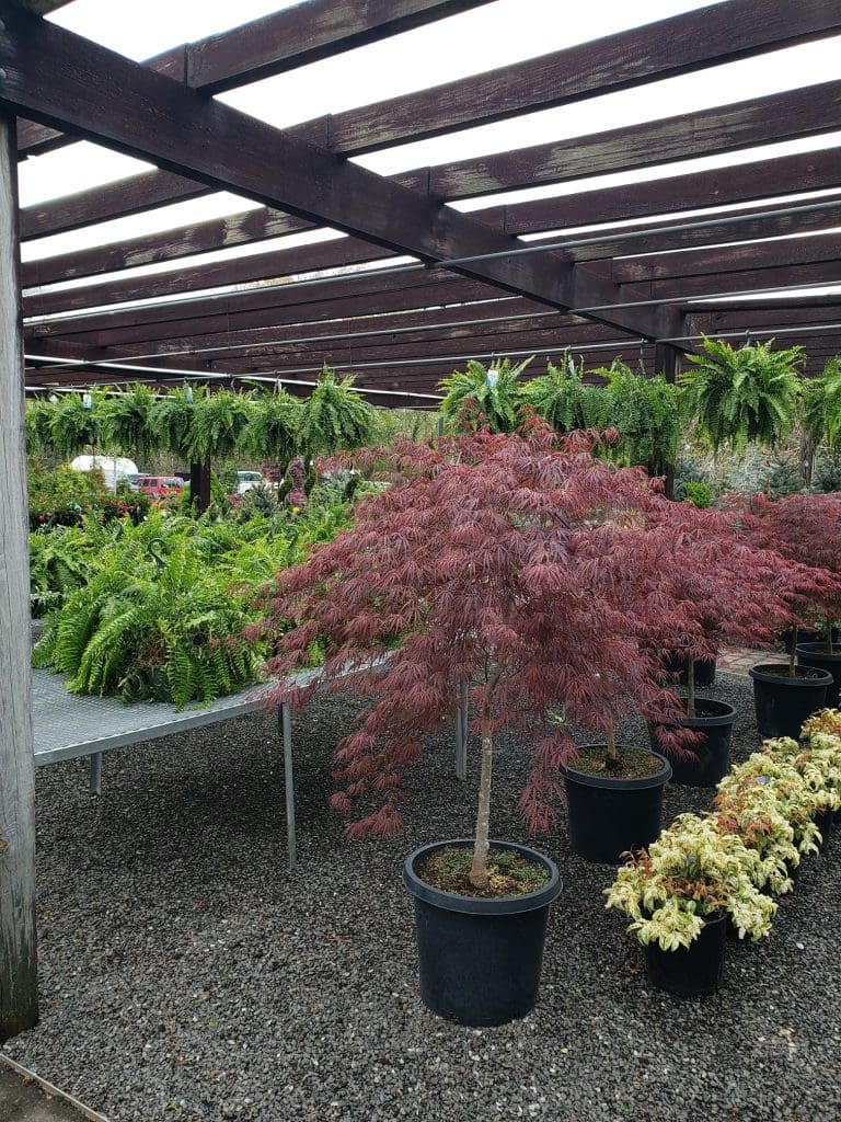 Bayview Garden Nurseries, LLC